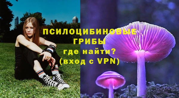 мескалин Богданович