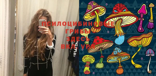 трава Богородицк