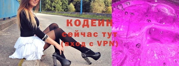 СК Елизово
