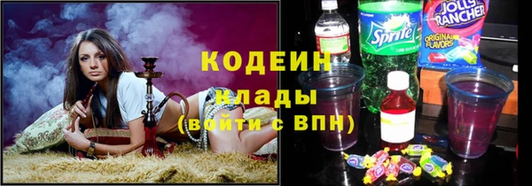крисы Бородино