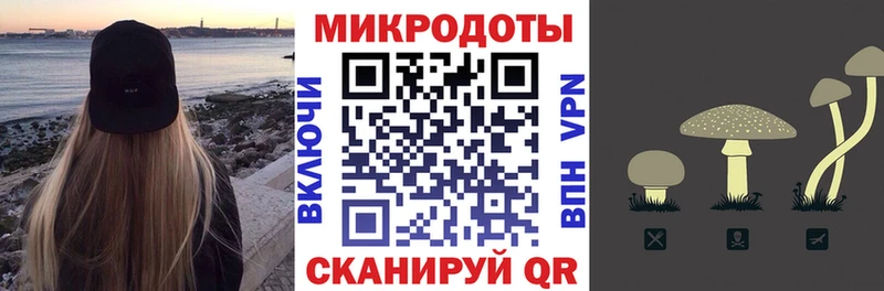 Галлюциногенные грибы Psilocybe  mega ссылка  Вихоревка  дарнет шоп 